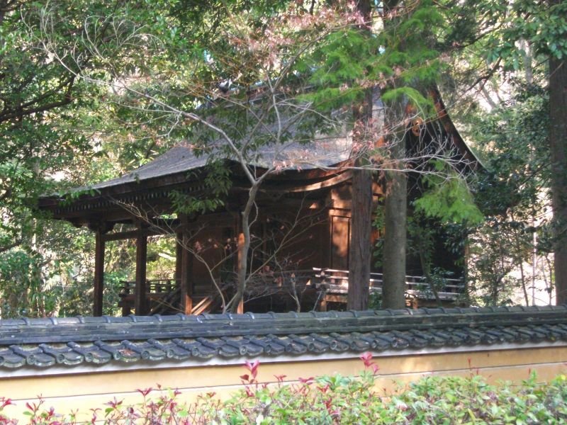 ⛩️ 엔기시키나이샤 국보 칸다니 신사 이미지 1